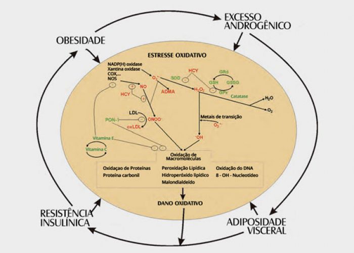 sop-e-estresse-oxidativo